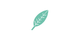 leaves icon