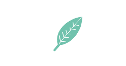 leaves icon